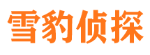 安远寻人公司